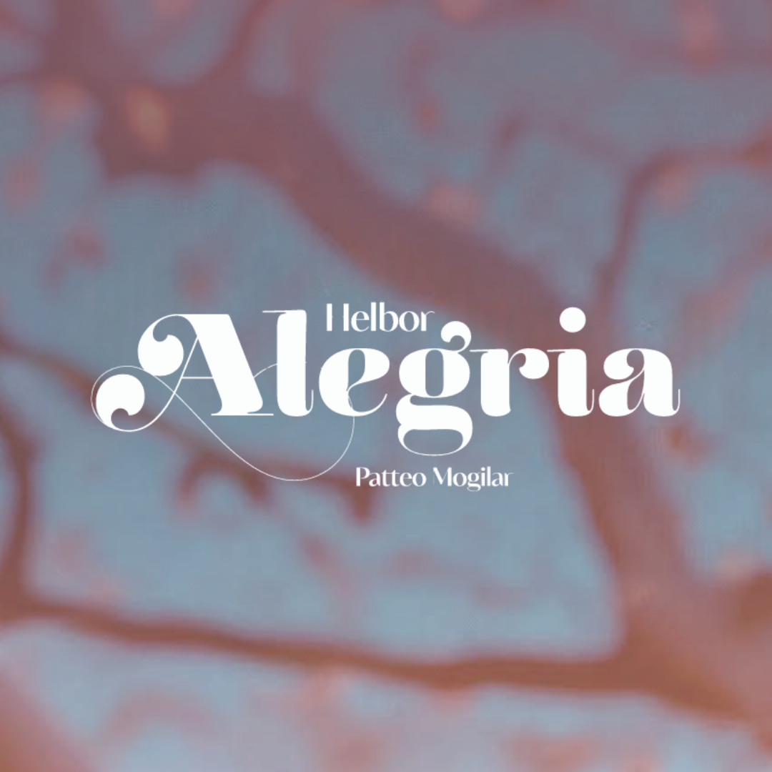 Helbor Alegria Patteo Mogilar